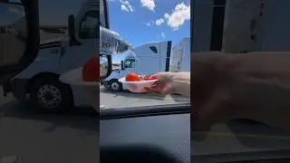#truck #americanlifestylevlog #სალათი