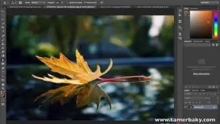 الدرس السابع عشر: أدوات تنقيح الصور Adobe Photoshop CC 2015