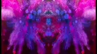 Self Destruct - Donora