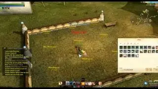 Archeage online wack a mole mini game free gold daily!