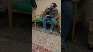 Что за кафе с енотами открыли в Барнауле