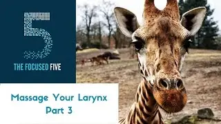 The Focused Five: Laryngeal Massage Part 3