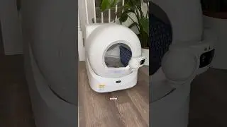 Watch the poop magically disappear! 🪄💩 #amazon #cat #ai #tech #home #smart