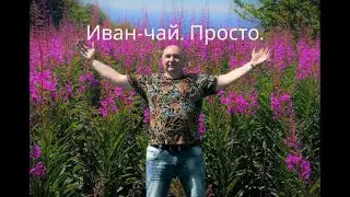 Иван -чай. Просто и по-домашнему! 8 лет опыта. 👍