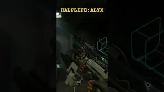 the guns of 