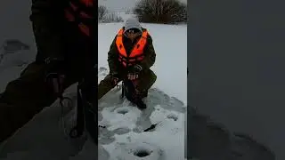 4 февраля 2024 г.