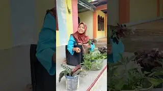 Mothers' Habits When Playing at Neighbors' Houses