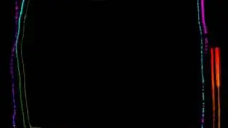 Comp 1_1.wmv
