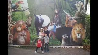 Avilon Zoo Visit
