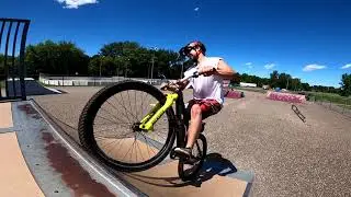 First Time at a Skate Park in 6 Years