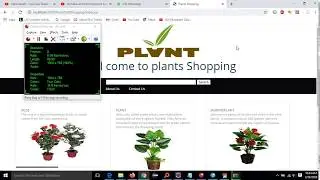 Plant Shopping On Web Java Project