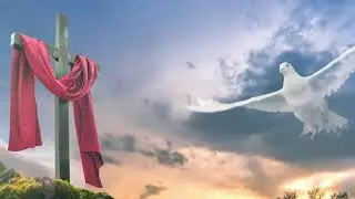 christian cross with dove vfx footage