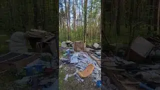 мусор в лесу!найти виновных и обосса....