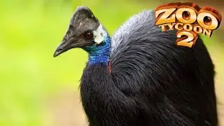 Dwarf Cassowary Exhibit Speed Build - Zoo Tycoon 2