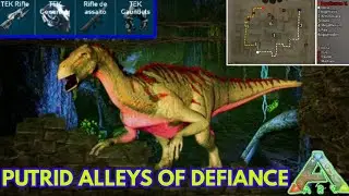 PUTRID ALLEYS OF DEFIANCE DUNGEON | [ARK MOBILE] (masmorra Putrid alleys of defiance Completa)