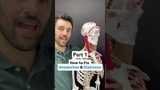 (Part 1 of 2) Want to fix your headaches or dizziness? Try these exercises! 