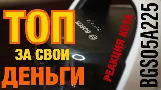 ТОП ЗА СВОИ ДЕНЬГИ! Пылесос Bosch BGS05A221/BGS05A225 Реакция кота в конце видео