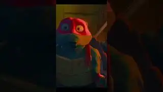 turtles