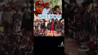 BOBIWINE (FREEDOM SHOW )