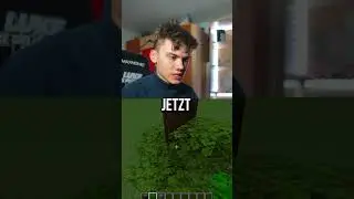 Wer baut den besseren 🎄in Minecraft?  
