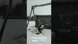 К нам пришла зима 🌬️🌨️❄️