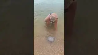 ст.Должанская..купаться в море не возможно.😏