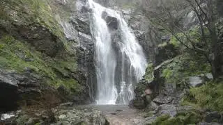nature video