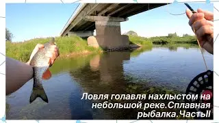 Fly fishing for chub on a small river. Features of rafting. Part II