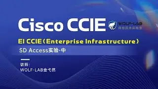 Cisco CCIE EI培训视频-SD Access实验-中