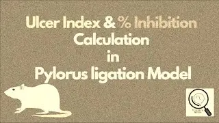 Ulcer Index and Percentage Inhibition Calculation in Pylorus Ligation Model | Explained In English