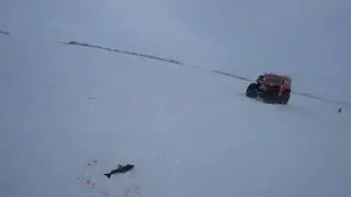 Рыбалка на Чукотке. Хариус. Огромный хариус!!