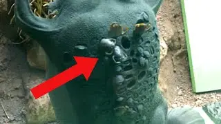 30 Pictures of Strange Animals EXPLAINED