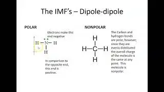 Polarity & IMF lecture