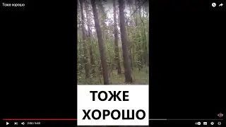 Тоже хорошо