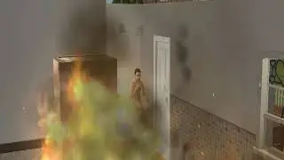 Sims 2 Fire - they just stand there screaming instead of calling for help