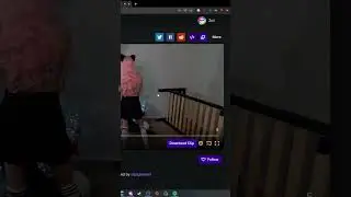 Belle Delphine on Twitch? (zoil)