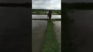 #মোৰ