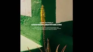 [FREE] Indie Rock x Post Malone Type Beat - "COLORS"