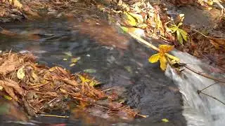 Test video Sony Alfa 6300