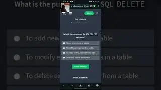 SQL DELETE Statement. Theory and practice. Part #13