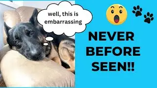 SECRETS REVEALED! Exclusive Behind the Scenes Footage 😂😂