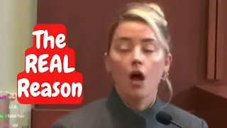 Why Amber Heard Lost the Johnny Depp Defamation Trial.