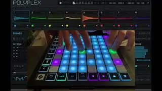 Polyplex by Twisted Tools EXPERIMENTAL DRUM DESIGN works with Free REAKTOR PLAYER