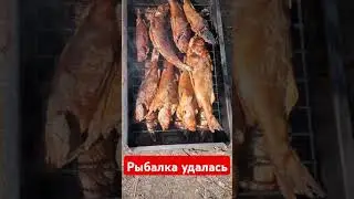 рыбалка удалась #природа #походвгоры #урал #туризм #рыбалка #южныйурал