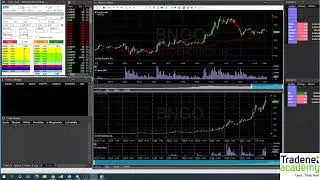 Утренняя трансляция с Арсением 04.01.2021