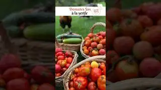 Domates Sos àlaşerife 🍅