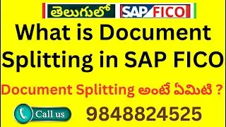 What is Document Splitting in SAP FICO (SAP FICO) SAP FICO