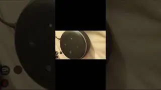 Robot tries to talk to alexa