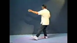 Yang Style Tai Chi Long Form Special Lesson - The Kua