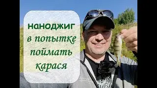 Наноджиг.  В попытке поймать карася